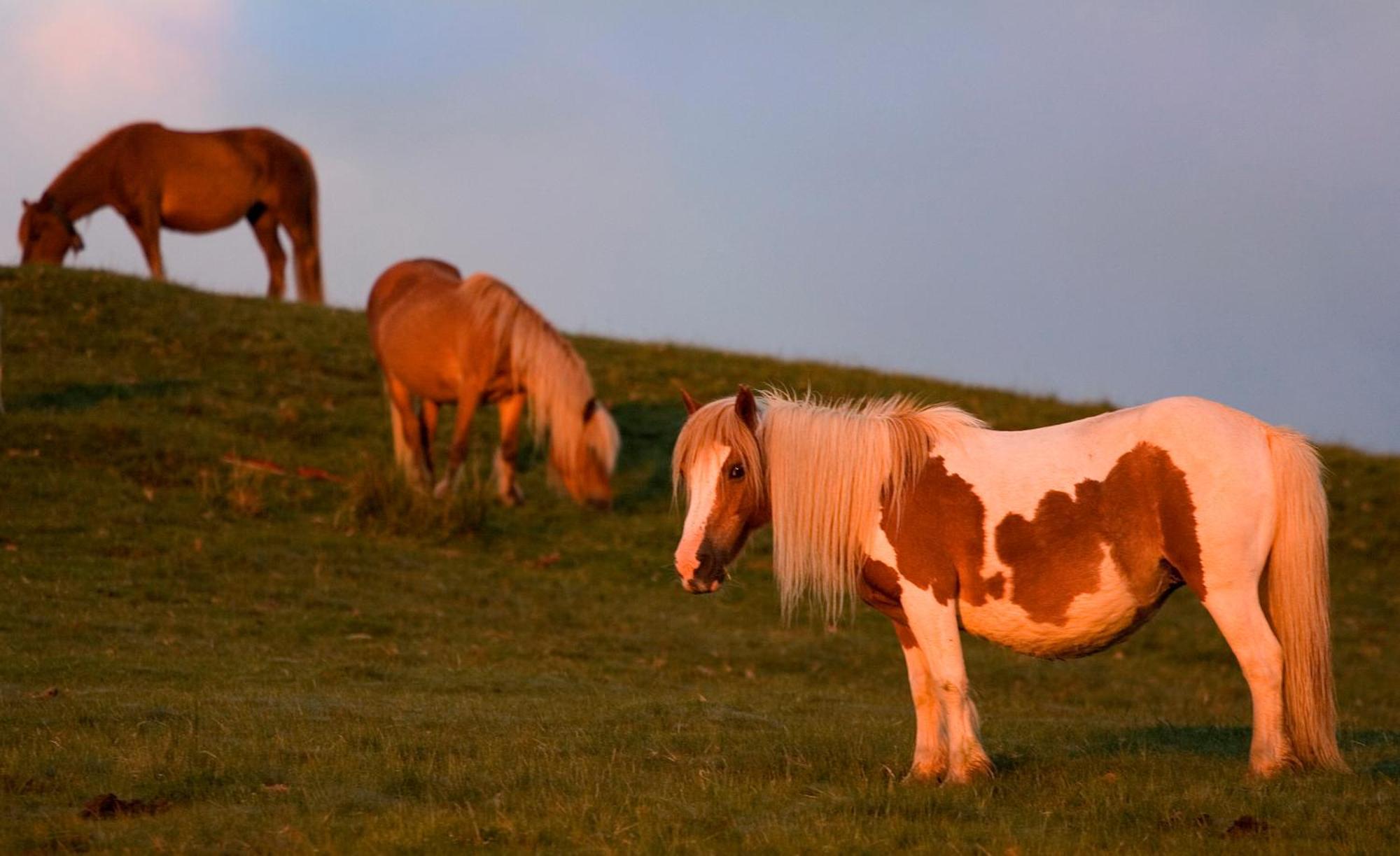 Casa Rural Zigako Etxezuria Kültér fotó