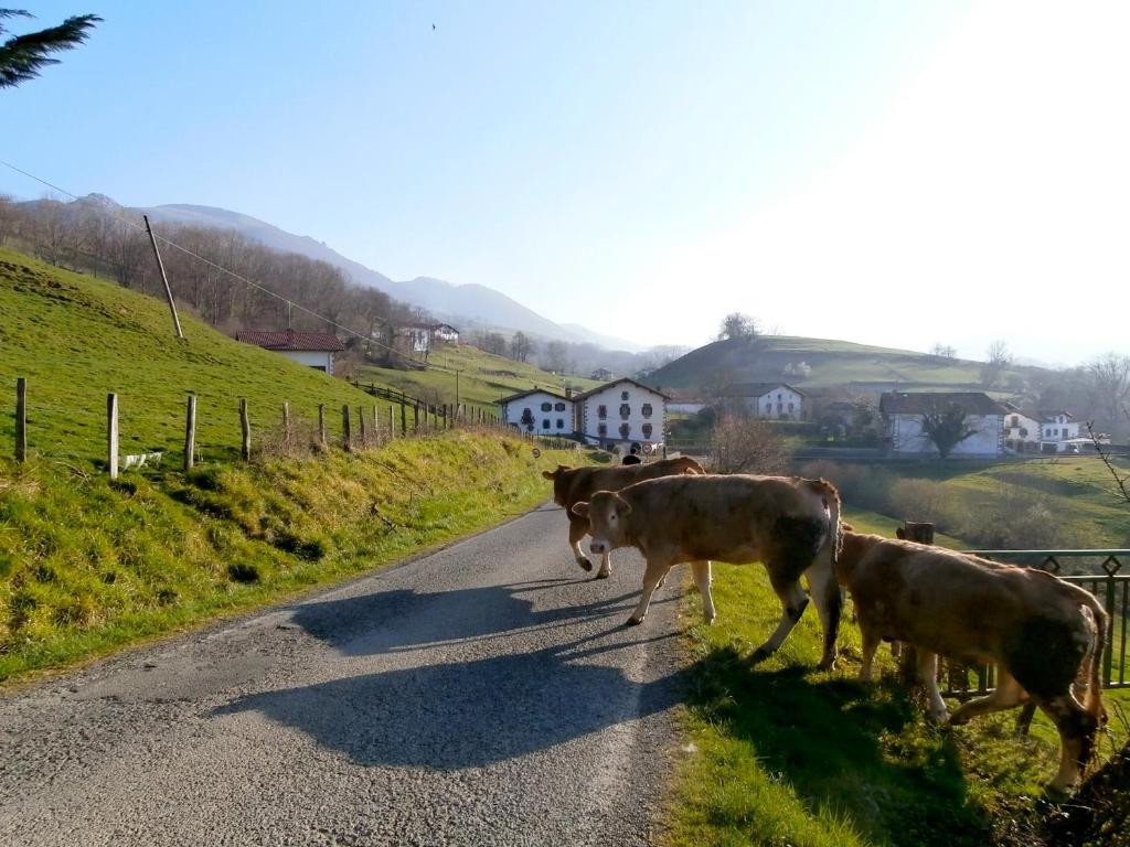Casa Rural Zigako Etxezuria Kültér fotó